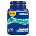 AIRWAVES CHEWING GUM BOTTLE MENTHOL & EUCALYPTUS X46 PIECES PMP £2.50