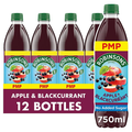 ROBS APPLE&BLKCRNT PM159